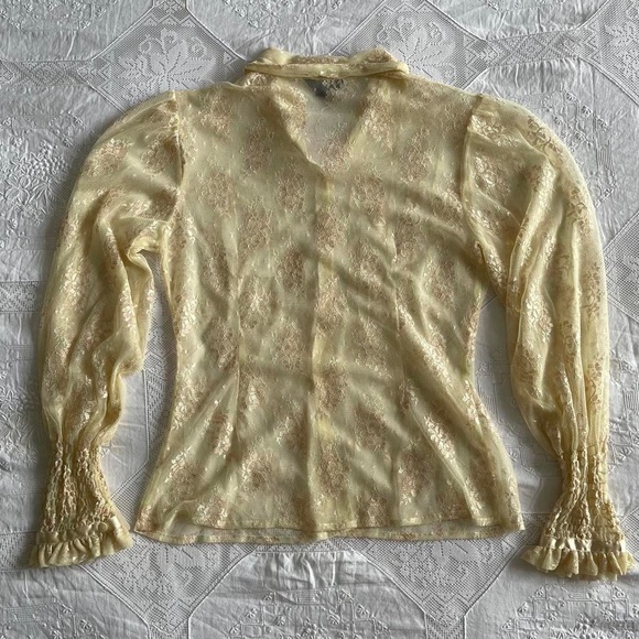 Victorian Inspired Sheer Lace Blouse - Picture 4 of 4